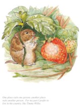 BP9033-Beatrix-Potter-I-prefer-to-live-in-the-country-Tale-of-Johnny-Town-Mouse